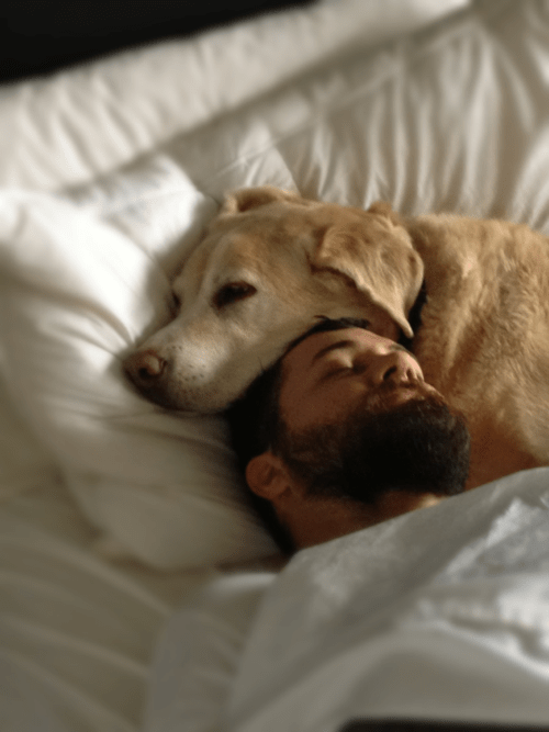 Dog and man in bed.
