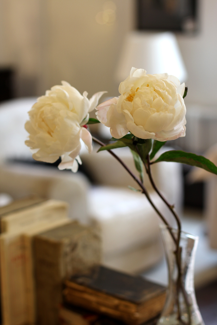 More peonies for the lady.