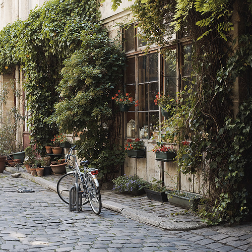 Never enough plants.