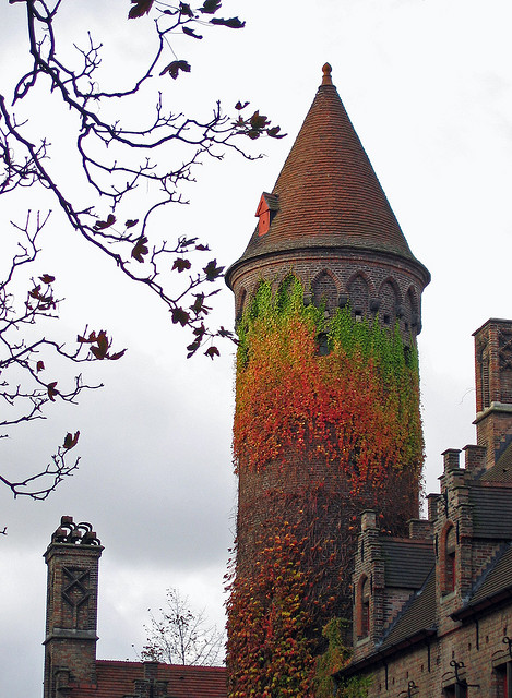 Ivy Tower, Bruges, Belgium