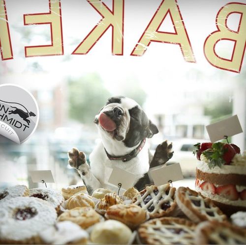 Soon, little buddy. Soon.