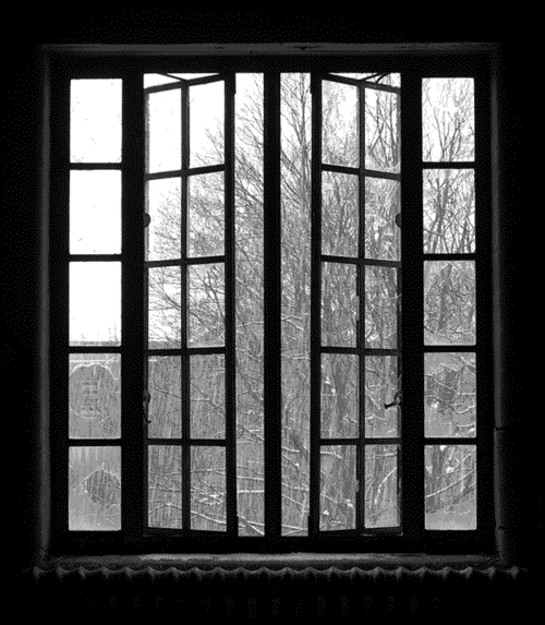 Snow in a window.