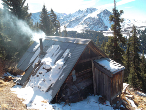 More woodland living.