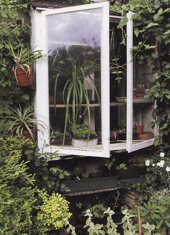 Kitchen window with all the plants.
