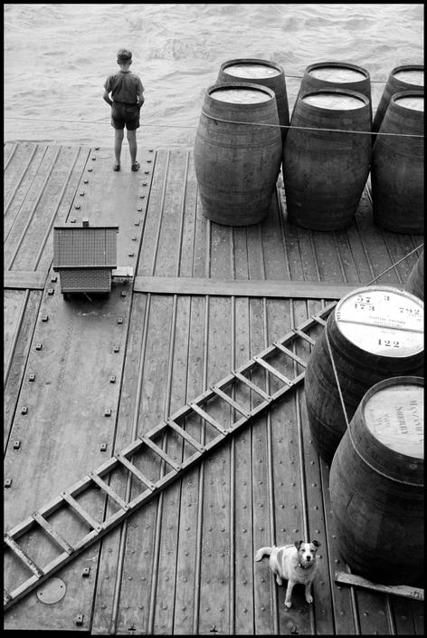 Boy, puppy, barrels.