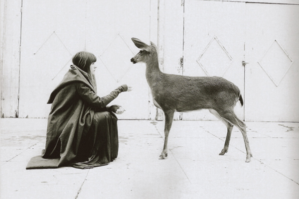 This New Year’s house is surrounded by deer…and this isn’t happening.