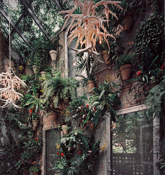 Fraught with plants.