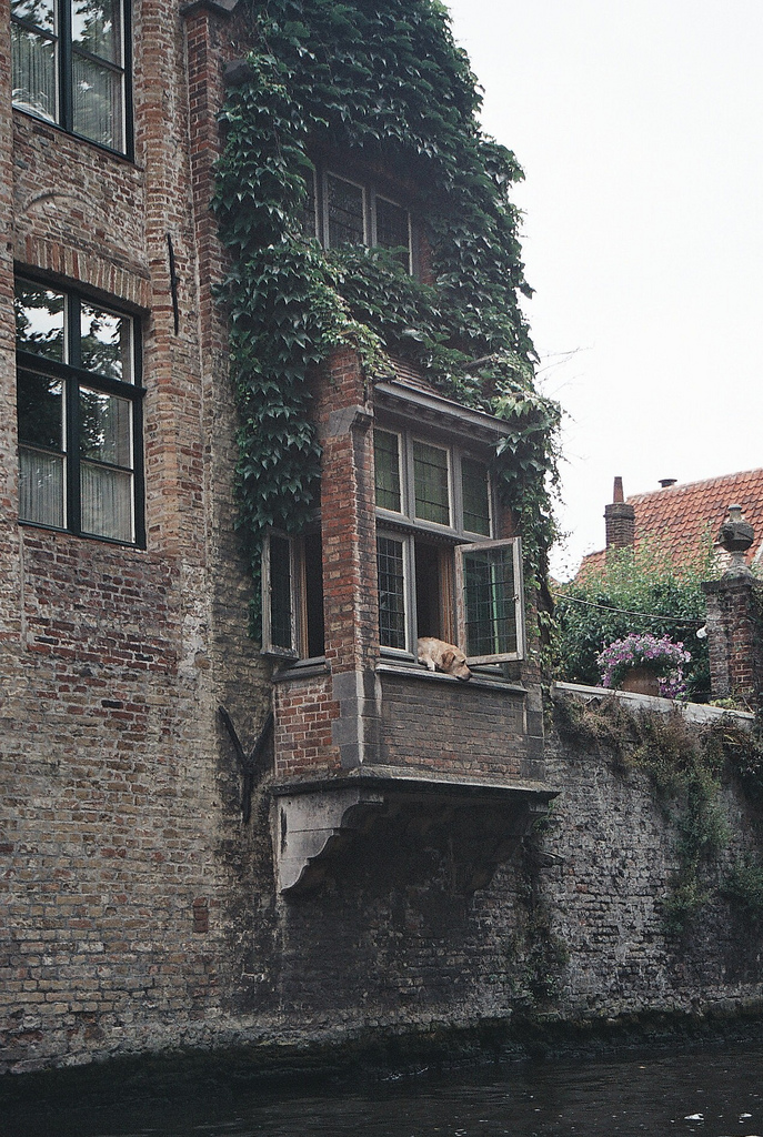 Catbird seat with plants on it.