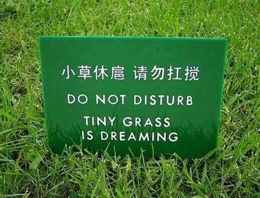 Ph’nglui mglw’nafh tiny grass China wgah’nagl fhtagn.