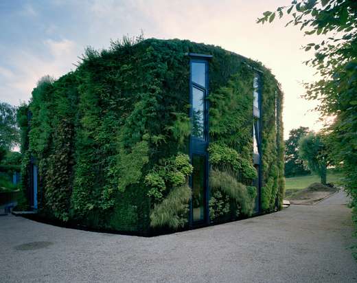 House in Brussels with Plants on It.